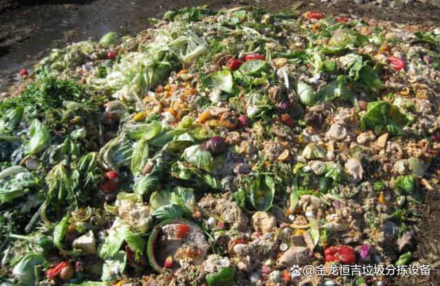 易腐垃圾怎么处理?